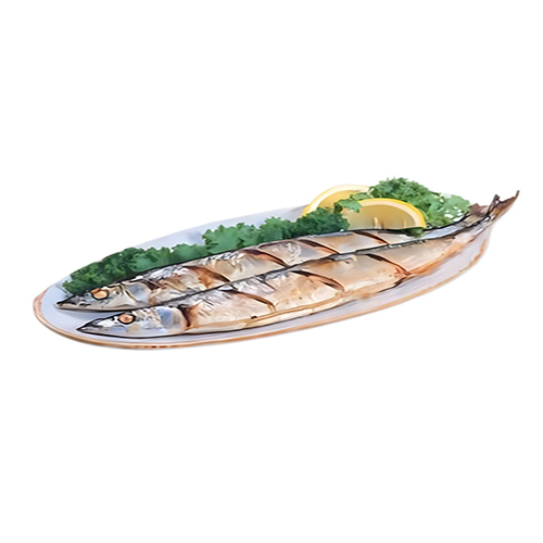 Grilled Saury